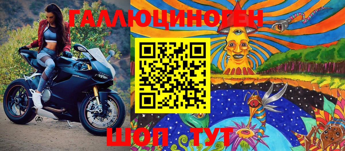 Галлюциногенные грибы Psilocybe Новоалтайск