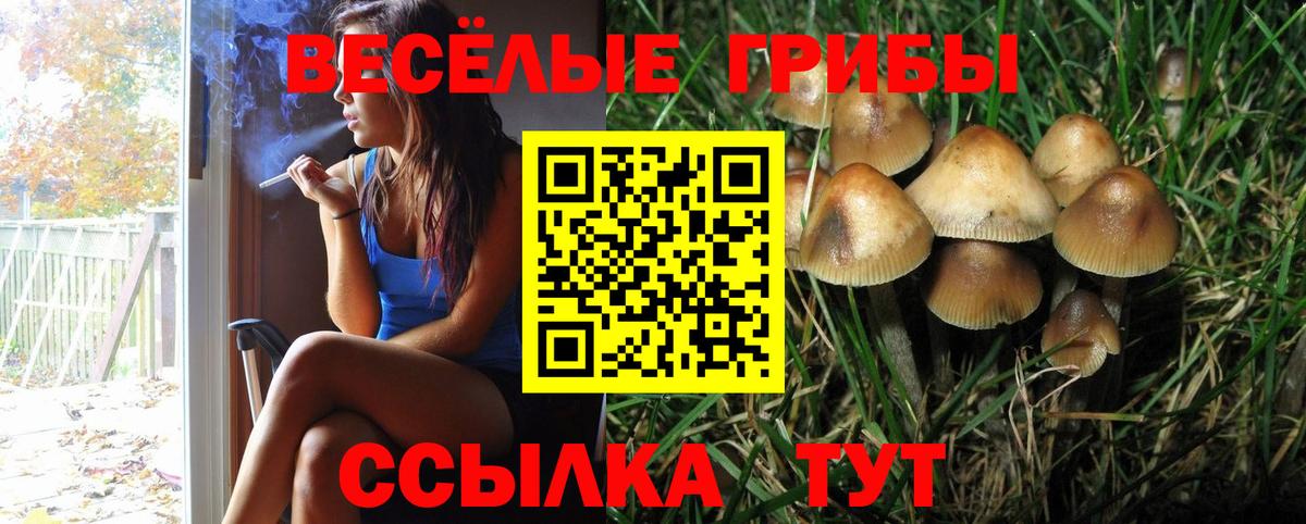 Новоалтайск  Галлюциногенные грибы MAGIC MUSHROOMS  Псилоцибиновые грибы Cubensis  дарнет шоп  Вход с VPN 